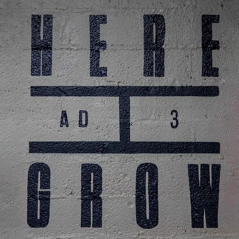 2K Foundations Anthony Davis Project -