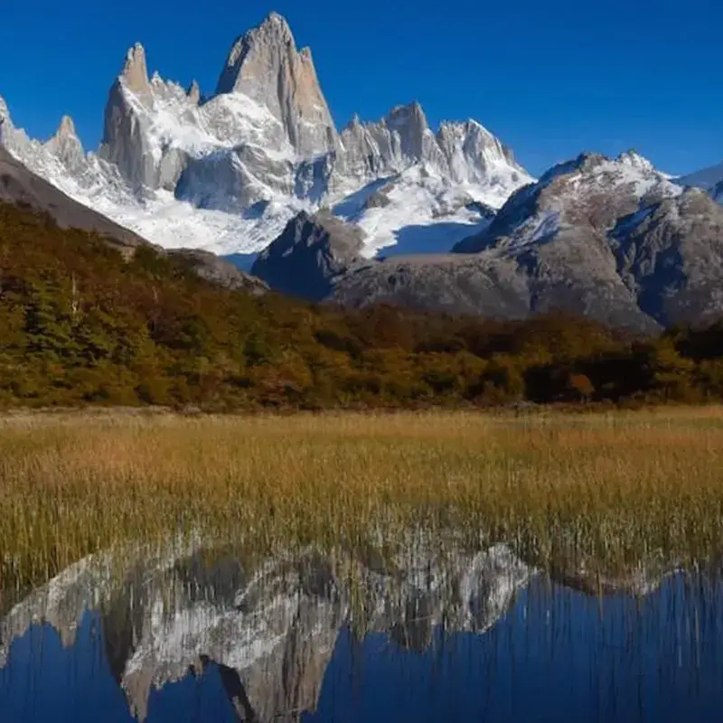 Sustainable Promise - 4